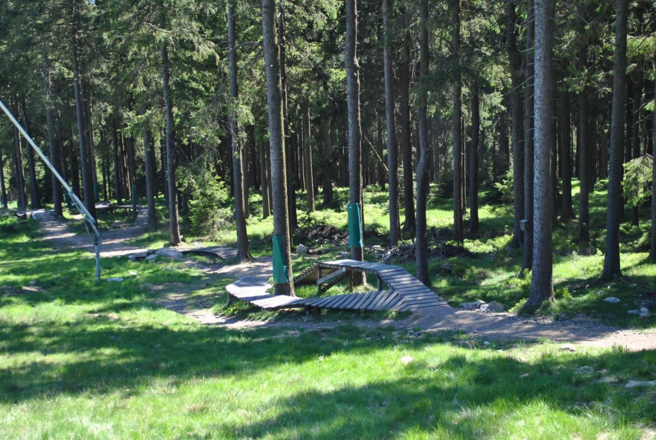 Harz-Rose Apartment Braunlage Bagian luar foto