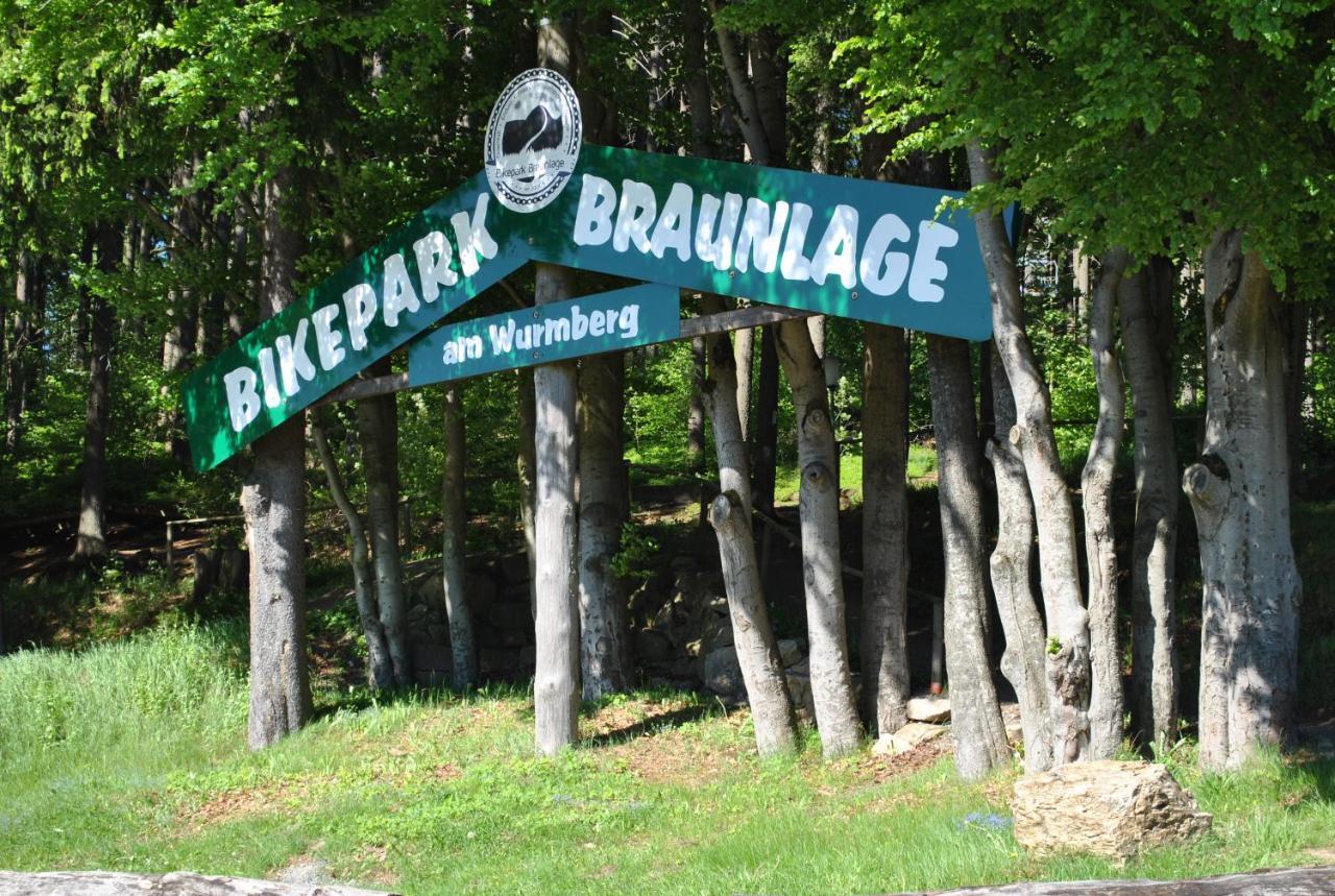 Harz-Rose Apartment Braunlage Bagian luar foto