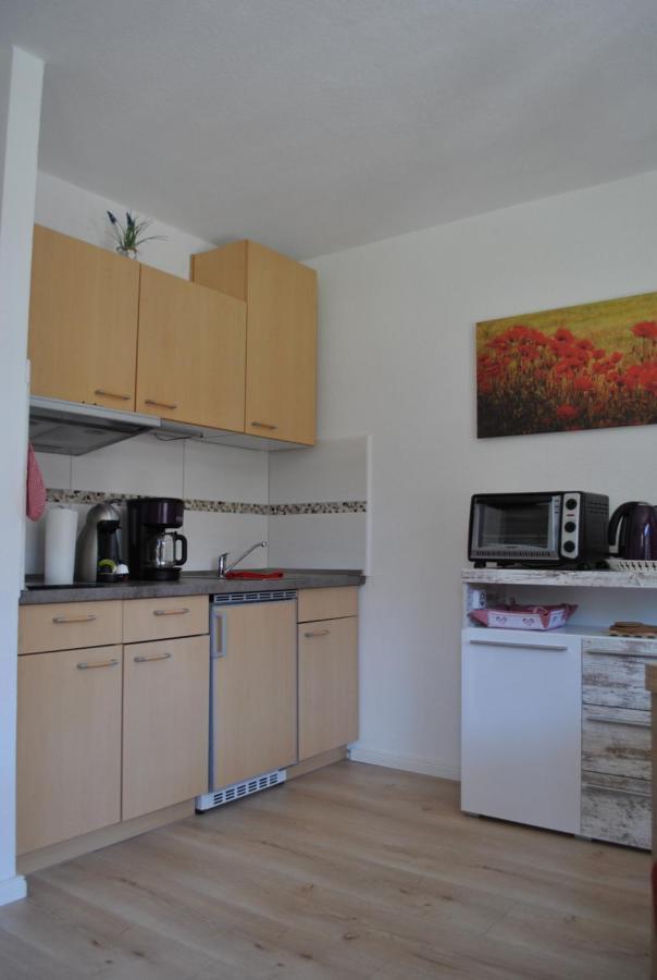 Harz-Rose Apartment Braunlage Bagian luar foto