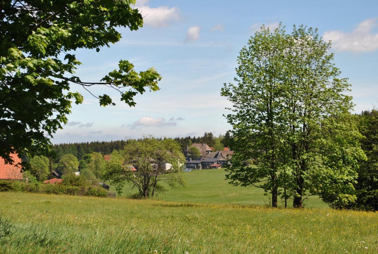 Harz-Rose Apartment Braunlage Bagian luar foto