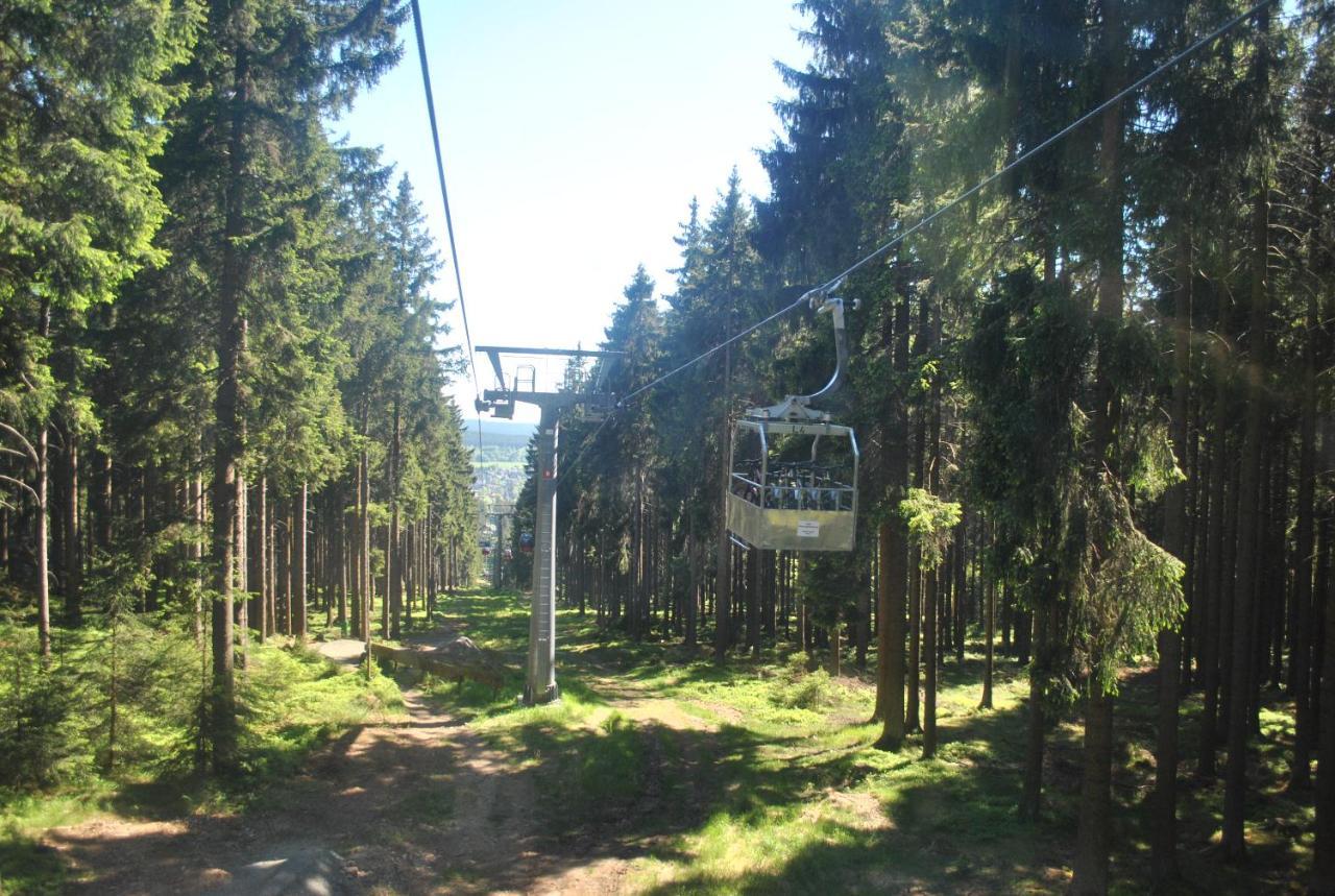 Harz-Rose Apartment Braunlage Bagian luar foto