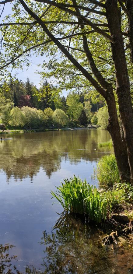 Harz-Rose Apartment Braunlage Bagian luar foto