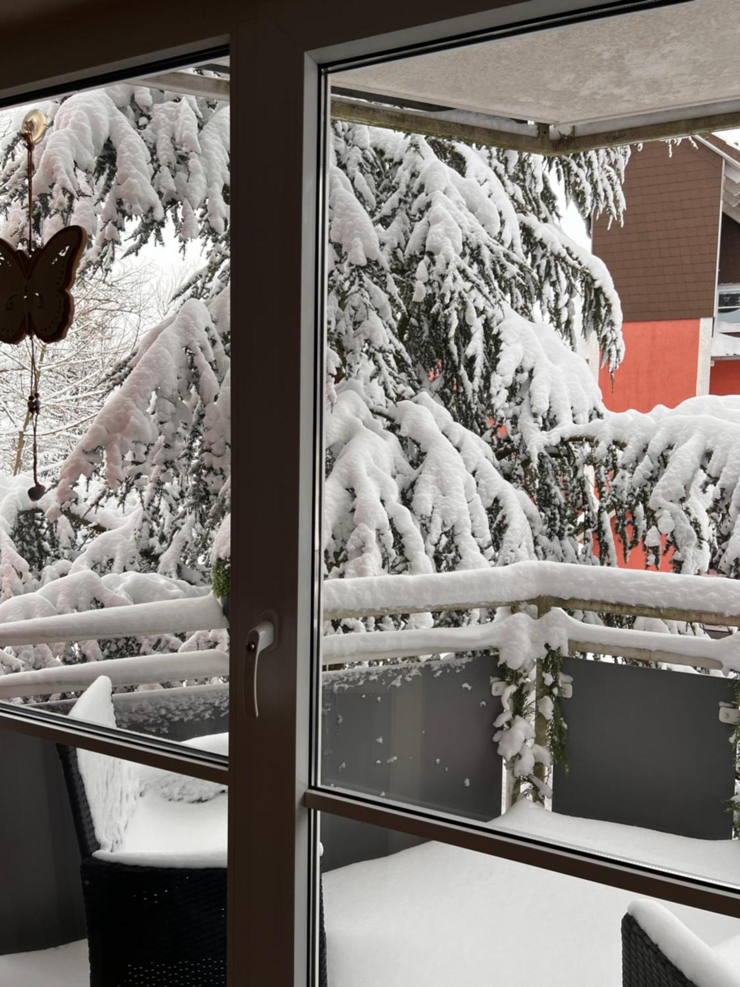 Harz-Rose Apartment Braunlage Bagian luar foto