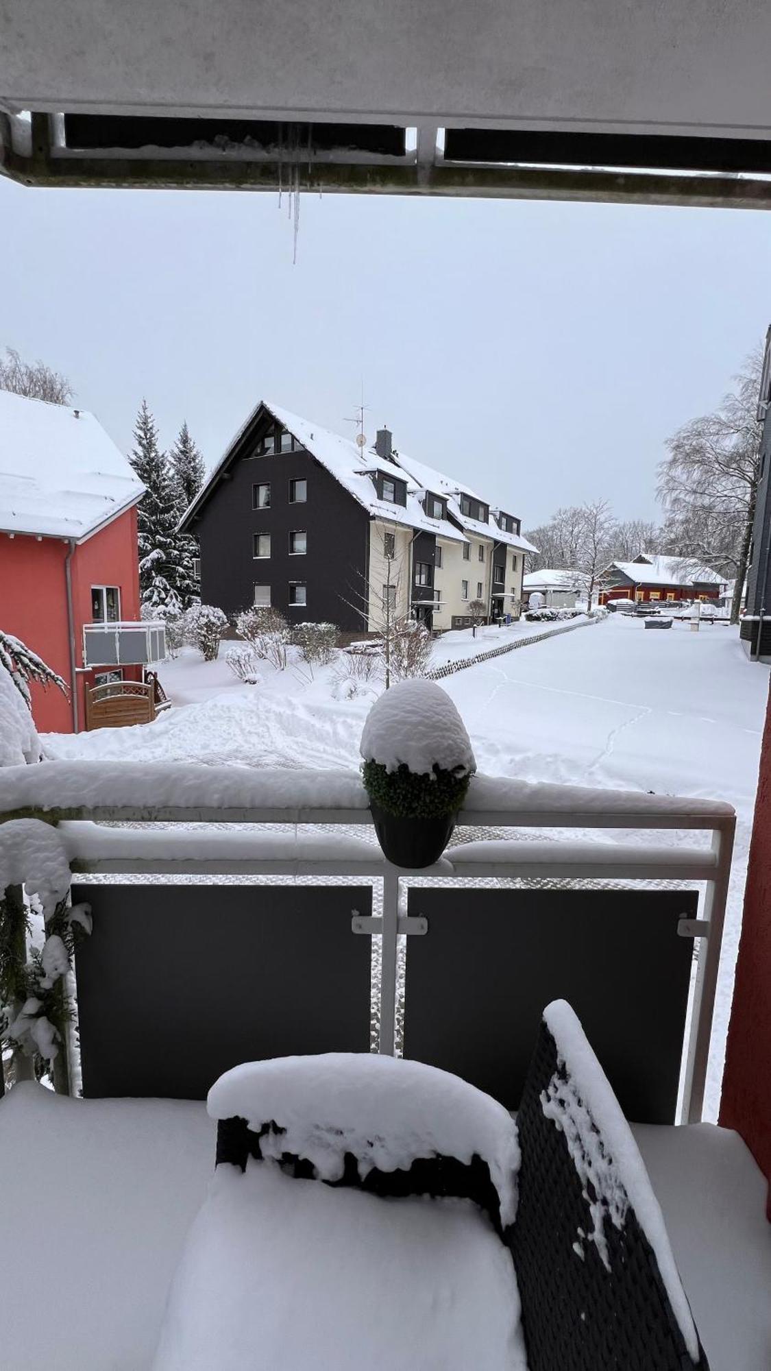Harz-Rose Apartment Braunlage Bagian luar foto